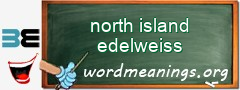 WordMeaning blackboard for north island edelweiss